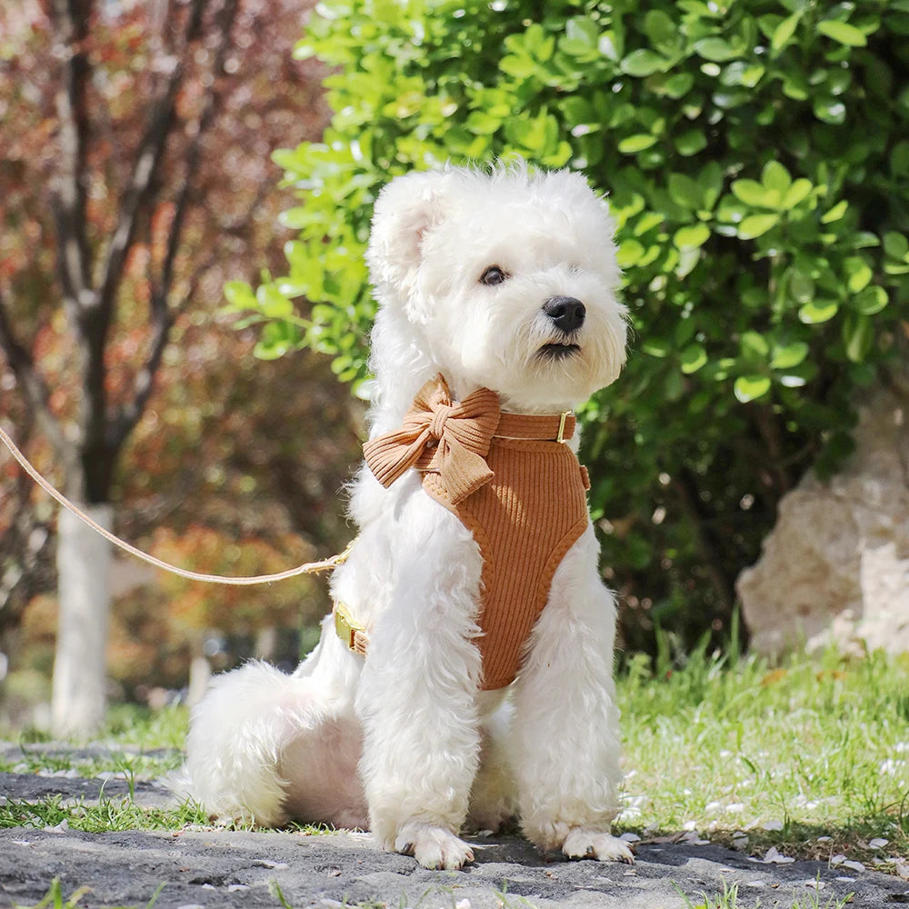 Adjustable Mesh Dog Collar Harness and Leash Set with Cute Bowknot