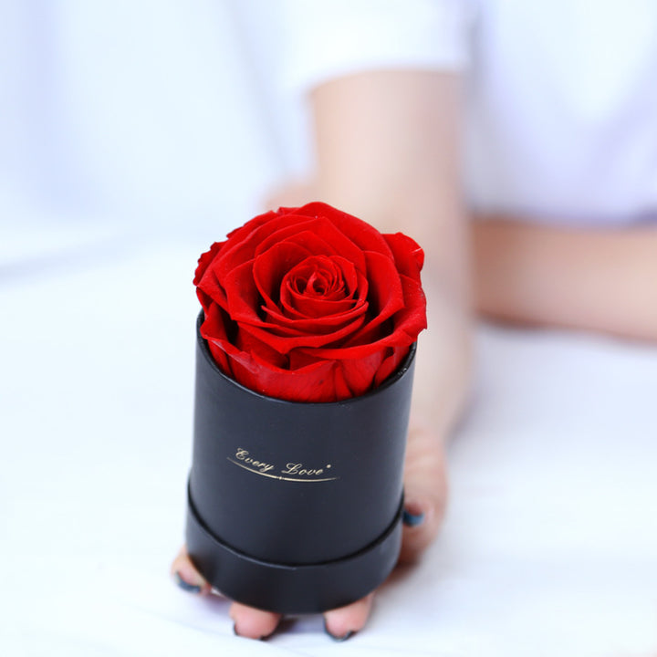 Thanksgiving Day Gift For Mother Flower Pot 1 A- A Rose Production Upgrade Small Size Gift Box