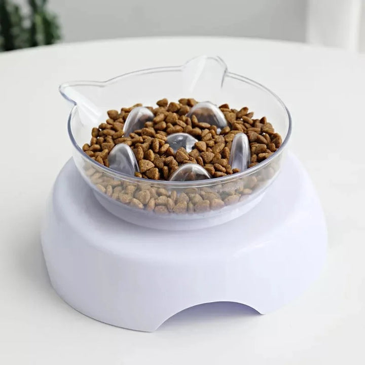 15° Tilt Pet Bowl with Non-Slip Stand