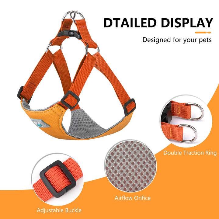 Adjustable Nylon Dog Harness and Leash Set for All Breeds