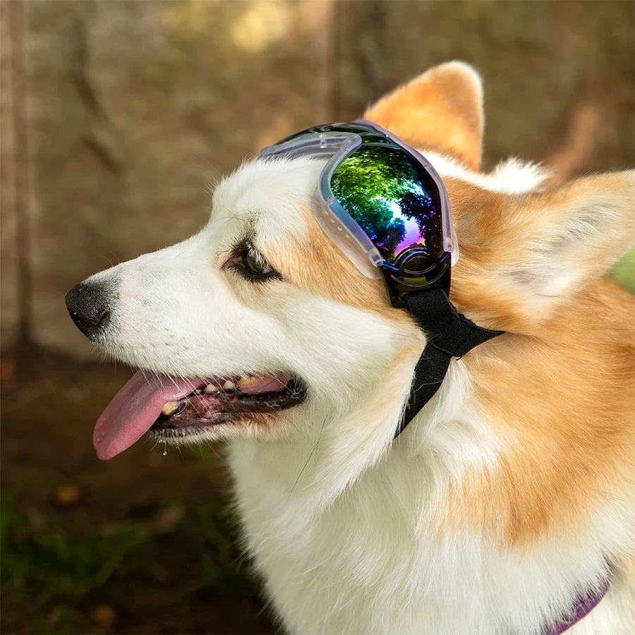 Dog Sunglasses Windproof and UV Resistant Adjustable Goggles for Medium to Large Dogs