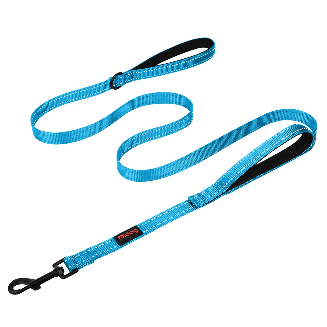 5ft Double Handle Nylon Dog Leash