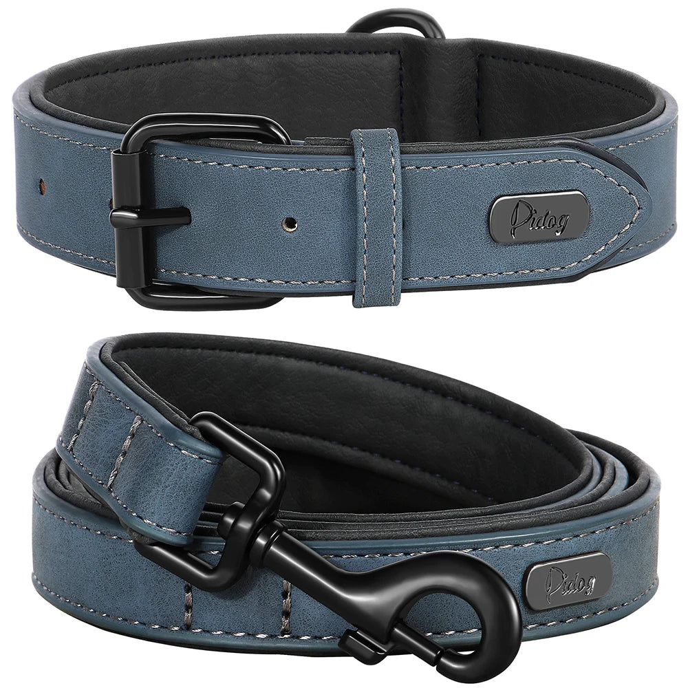 Durable Padded Dog Collar and Leash Set for Large Breeds