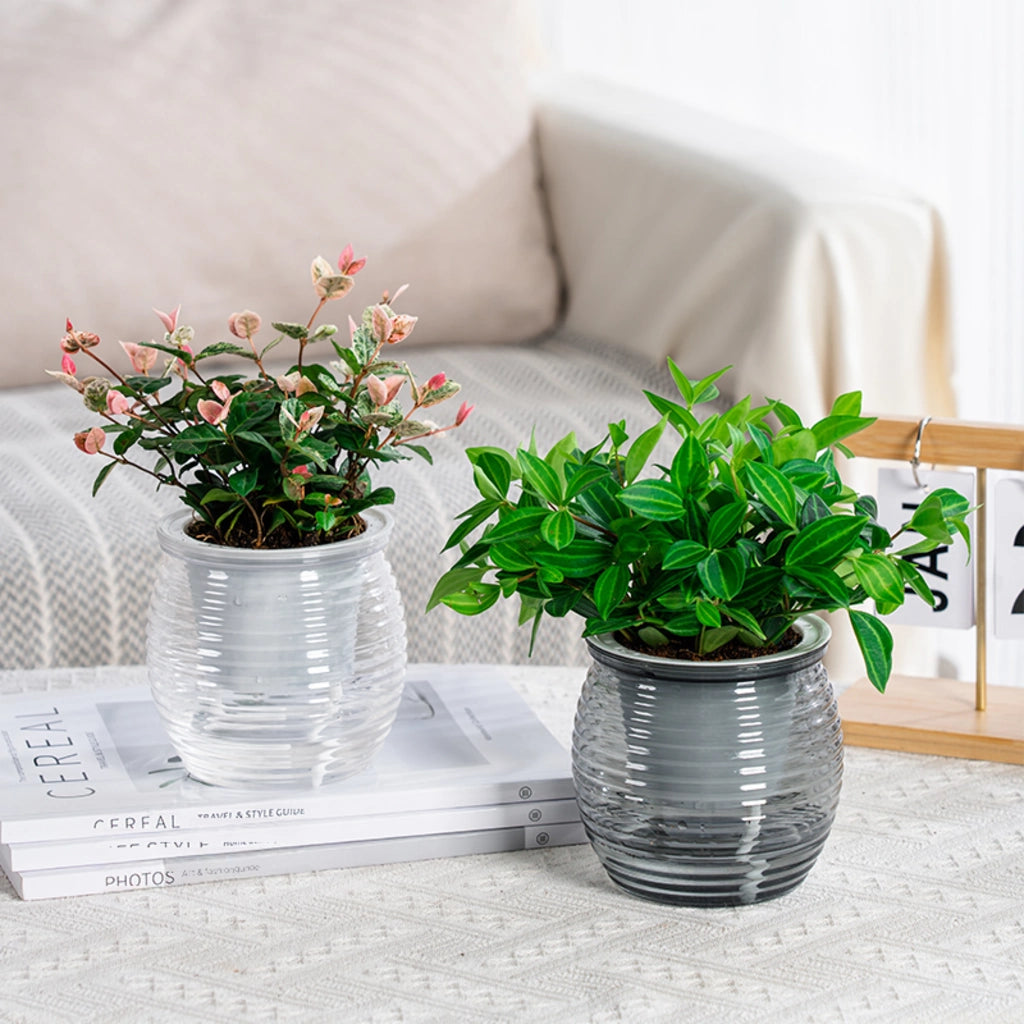 Self-Watering Succulent Flower Vase