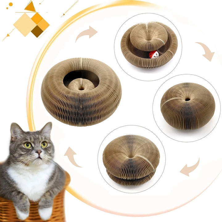 Magic Organ Cat Scratcher Toy