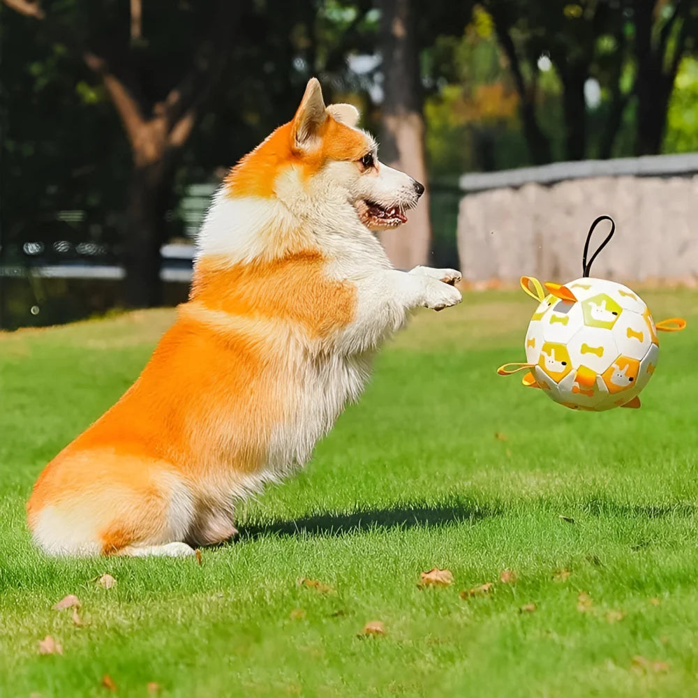 Interactive Football Dog Toy with Grab Tabs