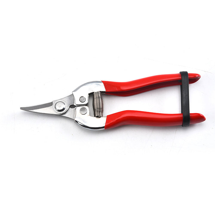 High Precision Stainless Steel Gardening Pruners for Fruit and Bonsai