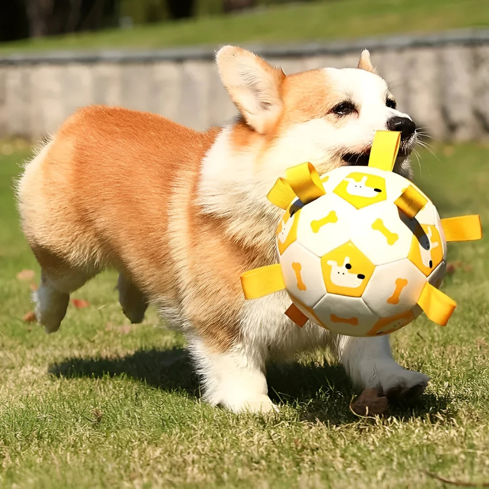 Interactive Football Dog Toy with Grab Tabs