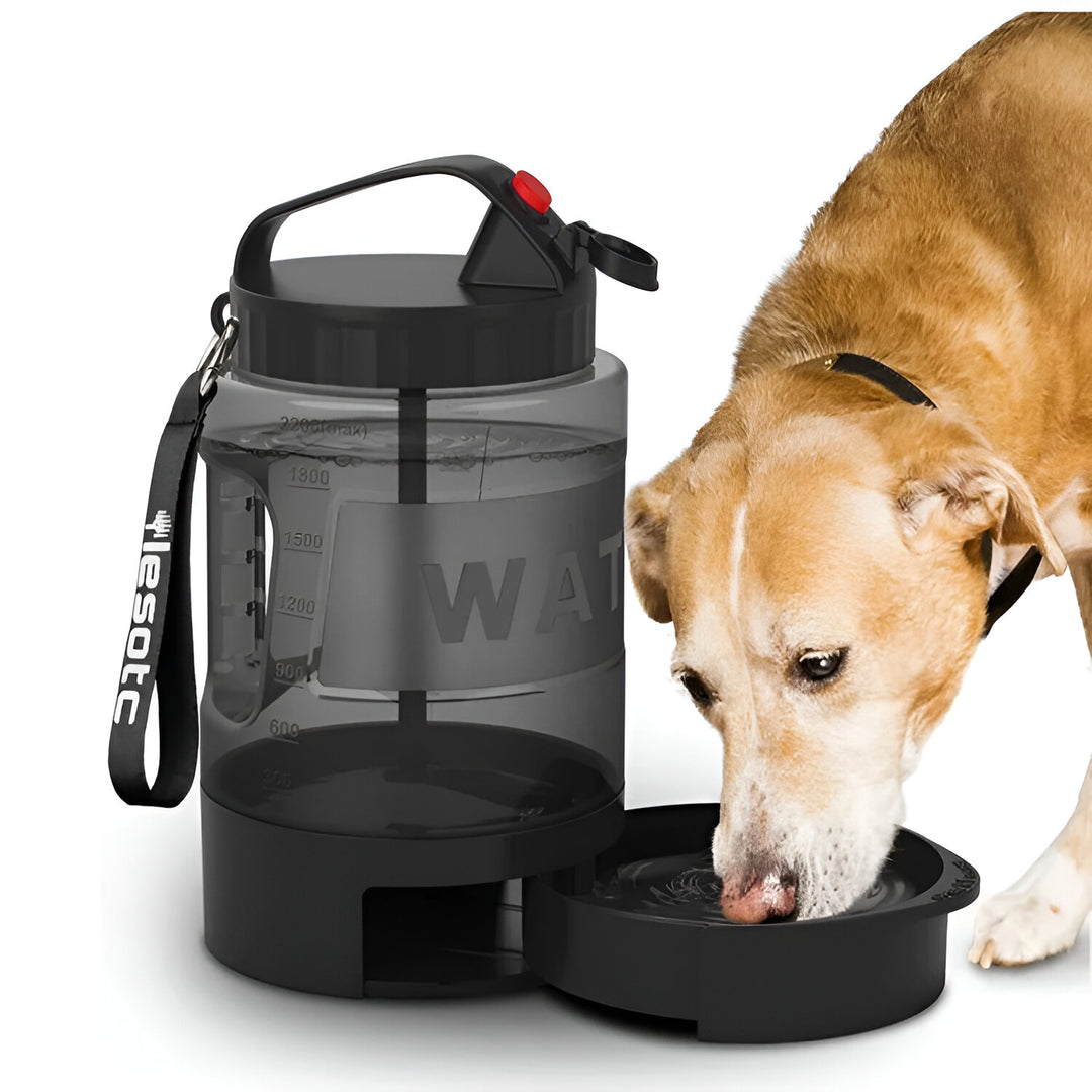 74oz Large Capacity Pet Water Dispenser with Pull-Out Bowl