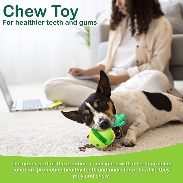 3-in-1 Interactive Cactus Dog Toy: Chew, Dispense, and Play