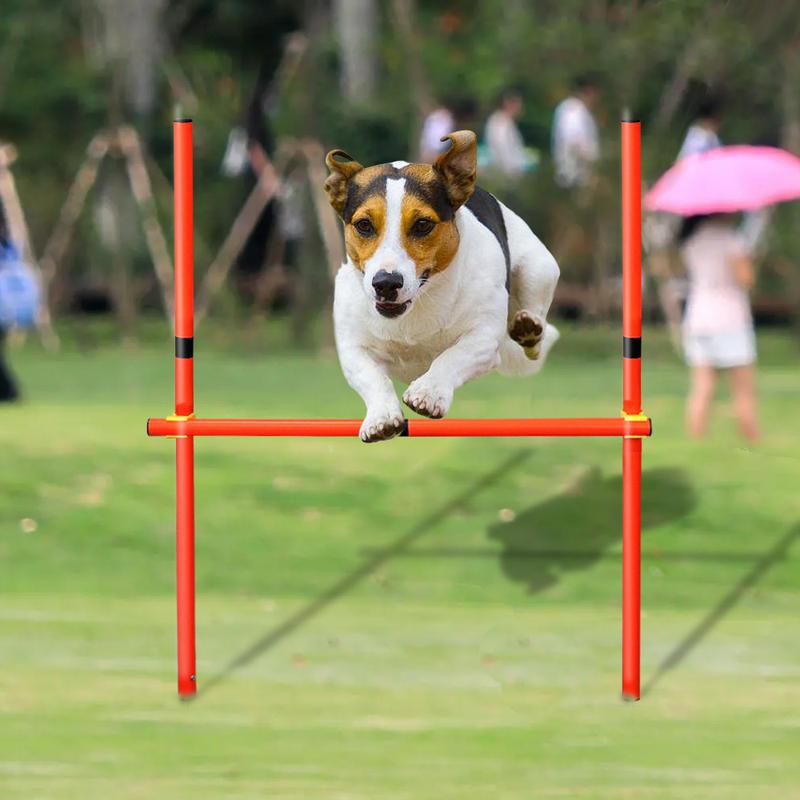 Portable Dog Agility Training Equipment