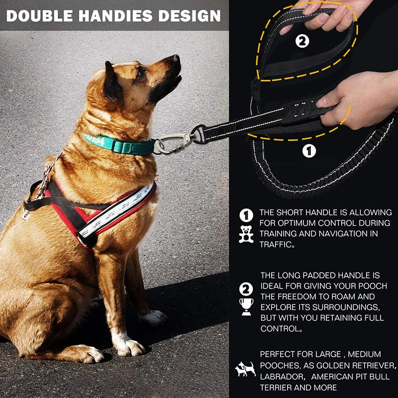 Durable Reflective Bungee Dog Leash