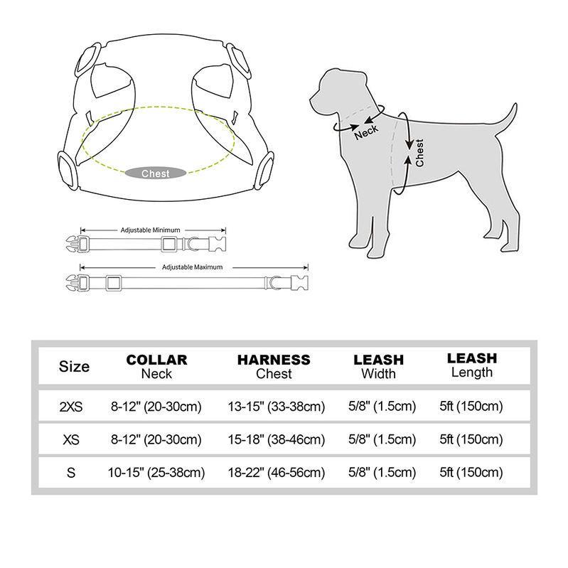 Adjustable Bowtie Collar, Leash, and Harness Set