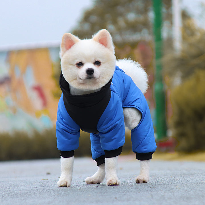 Waterproof Winter Dog Coat with D-Ring