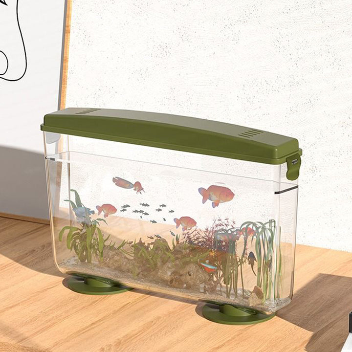 Simple Ecological Desktop Fish Tank