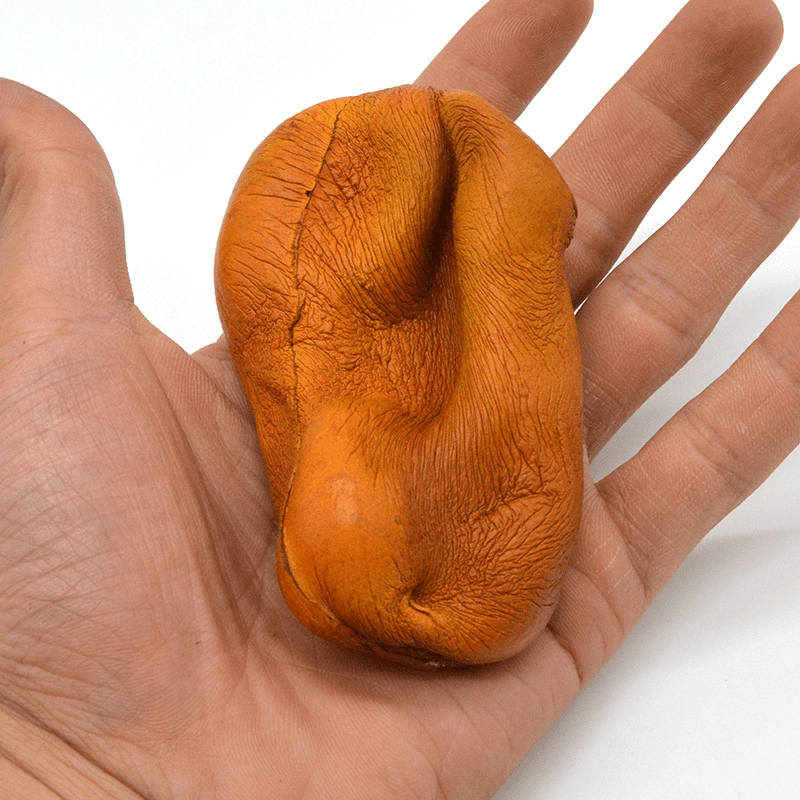 Kiibru Squishy Kiwi Fruit 8.5Cm Soft Licensed Slow Rising Original Packaging Collection Gift Decor Toy - Trendha