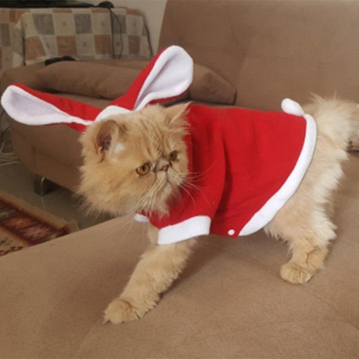 Cat's Christmas Santa Claus Clothing - Trendha