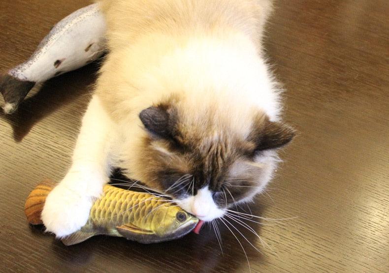 Cat Scratching Fish with Catnip - Trendha