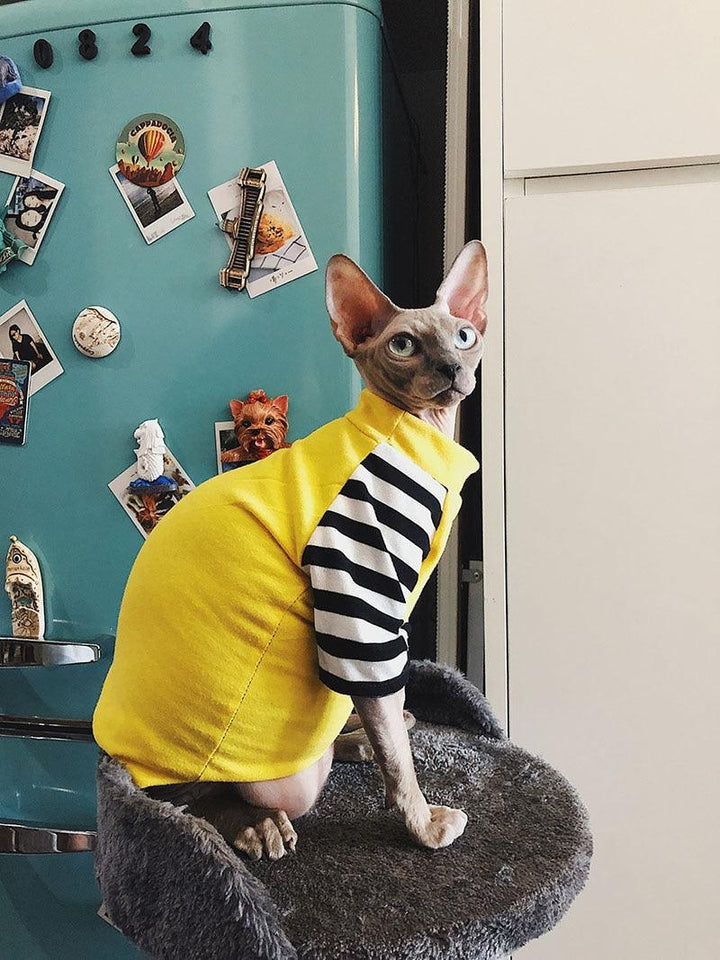 Cotton Printed Sweater with Necklace for Cats - Trendha