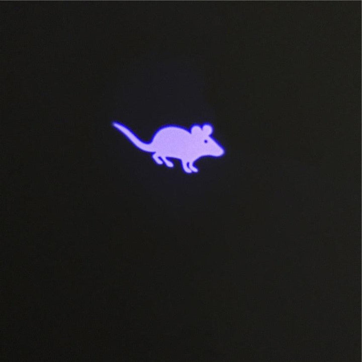 Funny Pet LED Laser Toy - Trendha