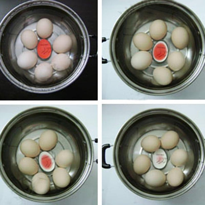 Kitchen Resin Dial Egg Timer - Trendha