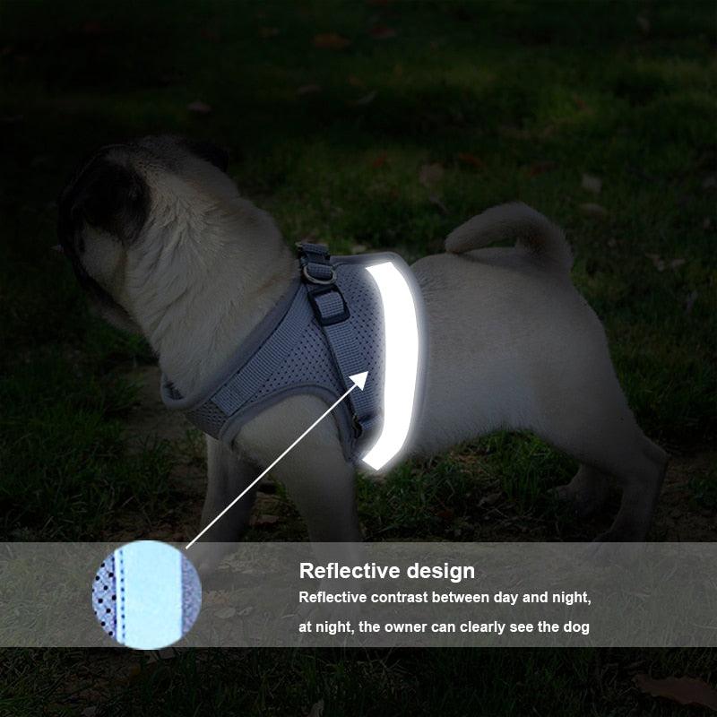 Pet's Adjustable Reflective Harness - Trendha
