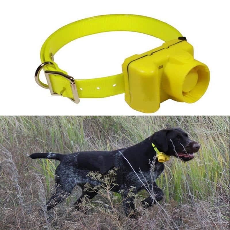 Rechargeable Dog Training Beeper - Trendha