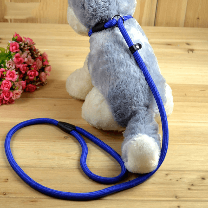 Soft Comfortable Nylon Collars For Dogs - Trendha