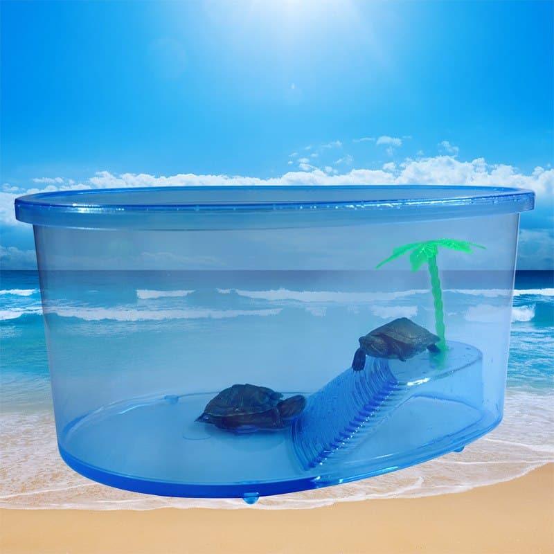 Transparent Plastic Terrariums For Turtles - Trendha